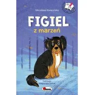 Powieści i opowiadania - Figiel Z Marzeń Mirosława Kwiecińska - miniaturka - grafika 1