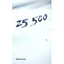 Wydawnictwo Uniwersytetu Gdańskiego 25 500 Rafał Król - Pamiętniki, dzienniki, listy - miniaturka - grafika 1