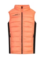 Kurtki i płaszcze dla chłopców - Rock Experience REJV00101-C961 FORTUNE HYBRID JUNIOR VEST Unisex - Kurtka dziecięca 0711 DESERT FLOWER+0208 CAVIAR 10/140 - miniaturka - grafika 1