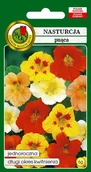 Nasiona i cebule - Nasturcja Pnąca Mieszana 6 g PNOS - miniaturka - grafika 1