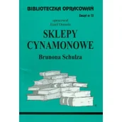 Pomoce naukowe - Biblios Biblioteczka opracowań nr 013 Sklepy cynamonowe - miniaturka - grafika 1