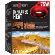 Akcesoria do terrarium - Repti Planet RP Żarówka Infrared HEAT 75W - miniaturka - grafika 1