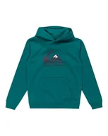 Bluzy dla chłopców - Quiksilver Chłopięca bluza z kapturem z dużym logo, młodzieżowy sweter (1 szt.) - miniaturka - grafika 1