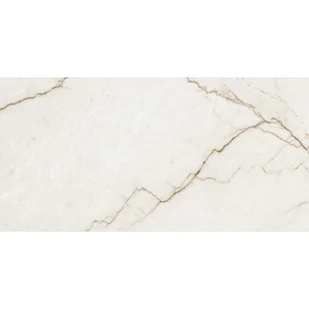 Gres szkliwiony Antique Ice Carving 60x120 Prime Ceramics - Płytki ceramiczne - miniaturka - grafika 1