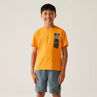 Koszulki dla chłopców - Regatta Dziecięca koszulka Alvarado IX Pomarańczowy, Rozmiar: 152 cm - miniaturka - grafika 1