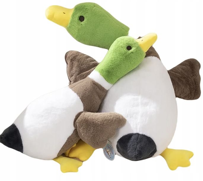 Kaczka Gęś Maskotka Pokolorowaduszka Pluszak 60 Cm Duża