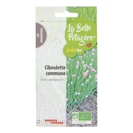 Nasiona i cebule - Nasiona do siewu - Szczypiorek zwyczajny - 0,5 g - miniaturka - grafika 1