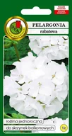 Nasiona i cebule - Pelargonia Rabatowa F1 Biała 10z PNOS - miniaturka - grafika 1