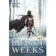 Horror, fantastyka grozy - Gorejąca biel - miniaturka - grafika 1