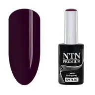 Lakiery hybrydowe - Lakier Hybrydowy Ntn Premium Splash 5G 118 - miniaturka - grafika 1