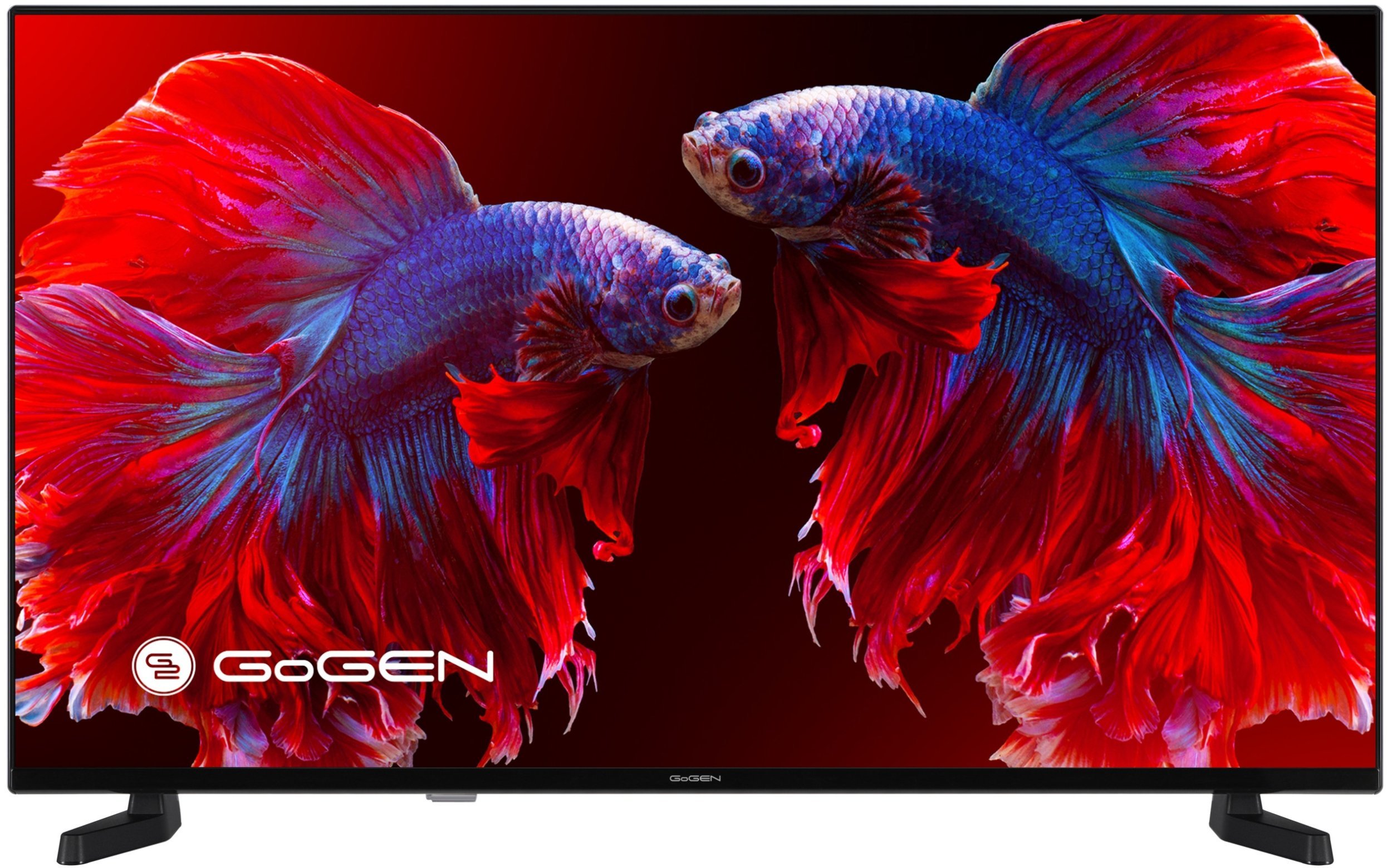 GoGEN FHD 40'' - TVF40P420T