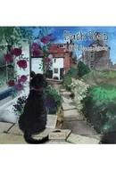 Puzzle - Puzzle 1000 Czarny kot w mieście - miniaturka - grafika 1