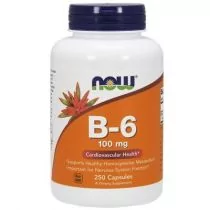 Now Foods NOW B-6 100mg 250caps - Witaminy i minerały dla sportowców - miniaturka - grafika 1