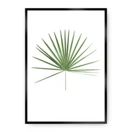 Plakaty - Dekoria Dekoria Plakat Tropical Leaf Green 50 x 70 cm Ramka Czarna 222E-000-14 - miniaturka - grafika 1