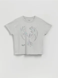 Reserved - T-shirt Jak wytresować smoka - jasnoszary - Koszulki dla dziewczynek - miniaturka - grafika 1