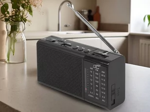 LTC REGA z USB, TF, AUX, mini latarką LED - Radia - miniaturka - grafika 1