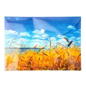 Teczki i skoroszyty - Teczka kopertowa PP A5 Niebo VISTA Narcissus - miniaturka - grafika 1