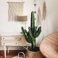 Lampy stojące - Biało-beżowa lampa stołowa do salonu w stylu boho ALASKA - miniaturka - grafika 1