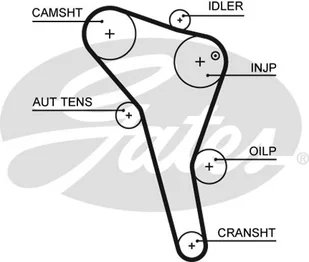 GATES PASEK ROZRZ  5622XS AUDI A4 1,9TDI 95-00 - Mechanizmy rozrządu - miniaturka - grafika 1