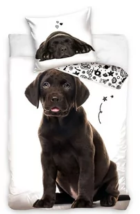﻿Pościel 160x200 labrador pies szczeniak brązowy czekoladowy golden bawełna - Pościel dla dzieci - miniaturka - grafika 1