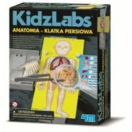 Mały naukowiec - 4M KidzLabs Anatomia klatka piersiowa 3373 - miniaturka - grafika 1