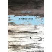 Poezja - Fundacja Duży Format Uciszenie burzy Andrzej Appel - miniaturka - grafika 1