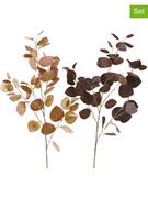Donice - Boltze Gałązki dekoracyjne (2 szt.) "Dichondra" w kolorze brązowym - wys. 95 cm - miniaturka - grafika 1