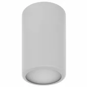 Lampy sufitowe - Euluna Lampa sufitowa Tube TB 170, szara - miniaturka - grafika 1