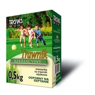 Trawy i trawniki - Trawnik Rekreacyjny 0,5 kg kartonik - miniaturka - grafika 1