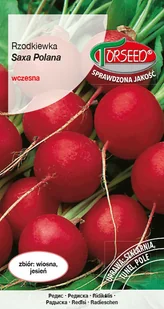 Nasiona Rzodkiewka (do upr.pod osł.i w polu) Saxa Polana 10g - Torseed - Nasiona i cebule - miniaturka - grafika 1