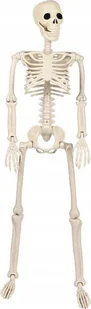 Korbi SZKIELET CZŁOWIEKA SZKIELETOR KOŚCIOTRUP CZASZKA DEKORACJA HALLOWEEN 93CM - Dekoracje sali - miniaturka - grafika 1