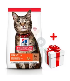 HILL'S SP Science Plan Feline Adult Jagnięcina 10kg + niespodzianka dla kota GRATIS! - Sucha karma dla kotów - miniaturka - grafika 1