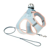 Smycze dla psów - AniOne Pepe&Kitty puppy set niebieski XXXXS - miniaturka - grafika 1