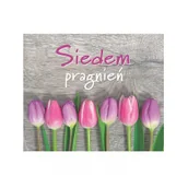 Aforyzmy i sentencje - Perełka 131 Siedem pragnień. wyd. 2018 - miniaturka - grafika 1