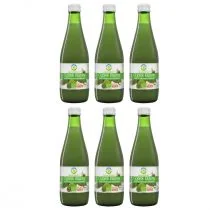 Bio Food Sok z ogórków kiszonych zgrzewka 6 x 300 ml Bio - Soki i napoje niegazowane - miniaturka - grafika 1