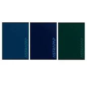 Zeszyty szkolne - Zeszyt A5/60K kratka (10szt) ASTRA - miniaturka - grafika 1