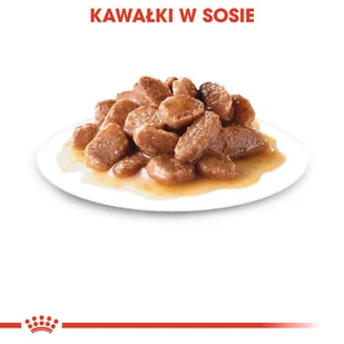 ROYAL CANIN  Ageing +12 12x85g karma mokra w sosie dla kotów dojrzałych + niespodzianka dla kota GRATIS! - Mokra karma dla kotów - miniaturka - grafika 9