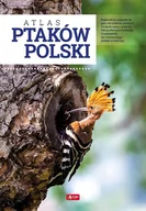 Słowniki języków obcych - Atlas Ptaków Polski Anna Przybyłowicz,łukasz Przybyłowicz - miniaturka - grafika 1