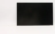 Akcesoria do komputerów stacjonarnych - Lenovo FRU of SD11A22490 BOE 13.0 - miniaturka - grafika 1
