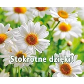 Aforyzmy i sentencje - zbiorowa Praca Perełka 263 Stokrotne dzięki! - miniaturka - grafika 1