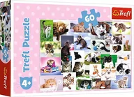 Puzzle - Trefl Puzzle : Puzzle 30el. - Kubuś Puchatek Puchatek: Lato w ogrodzie MI_17332 - miniaturka - grafika 1