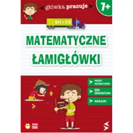 Książki edukacyjne - Zielona Sowa Główka pracuje Matematyczne łamigłówki - Iwona Orowiecka - miniaturka - grafika 1