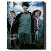 Malowanie po numerach - Malowanie po numerach, 40x50 cm - Harry i przyjaciele | Oh Art! - miniaturka - grafika 1