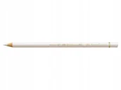 Kredki, ołówki, pastele i pisaki - Faber-Castell Kredka Polychromos Warm Grey I - miniaturka - grafika 1