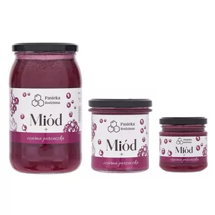 Miód z czarną porzeczką 410g - Miód - miniaturka - grafika 1