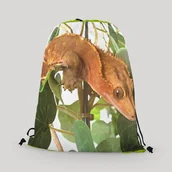 Plecaki worki - Worko-plecak gekon orzęsiony w liściach - miniaturka - grafika 1