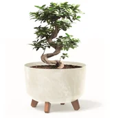 Donice - Donica okrągła 29 cm krem misa nóżki wkład - miniaturka - grafika 1