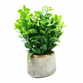 Sztuczne kwiaty - Zielony Kwiat W Doniczce Na Parapet Różne Wzory - miniaturka - grafika 1