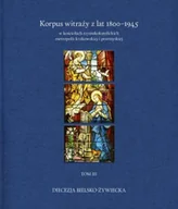 Albumy inne - Korpus witraży T.3 Diecezja bielsko-żywiecka - miniaturka - grafika 1