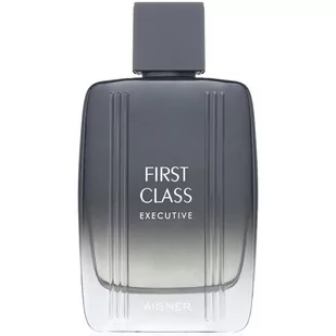 Aigner First Class Executive woda toaletowa 100ml - Wody i perfumy męskie - miniaturka - grafika 2
